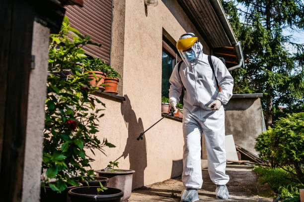 Best Emergency Pest Control  in Nixon, TX