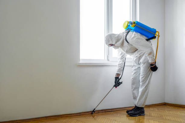 Best Pest Prevention Services  in Nixon, TX
