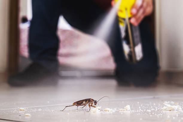 Trusted Nixon, TX Pest Control Experts