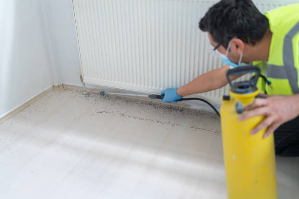 Best Affordable Pest Control Services  in Nixon, TX