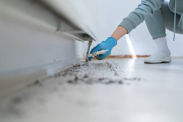Best Commercial Pest Control Services  in Nixon, TX